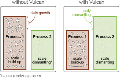 Daily growth of scale